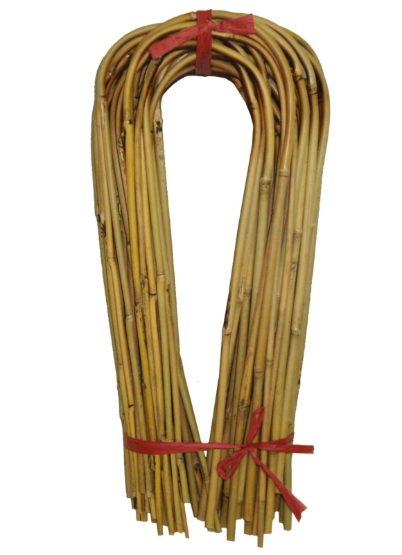 ushapebamboo
