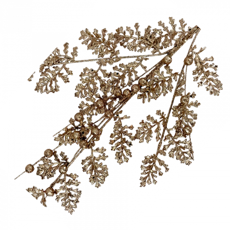 119-1021B1